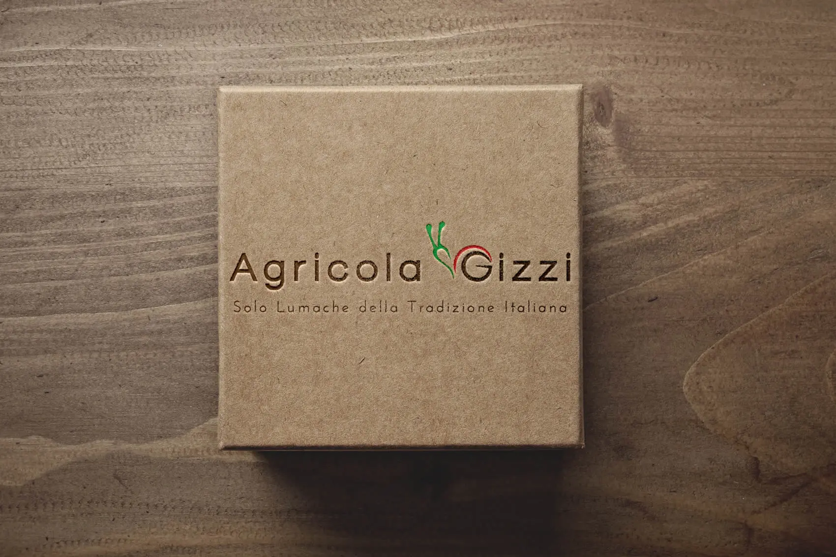 Logo e sito web Agricola Gizzi allevamento lumache - MDP Agenzia Web Latina